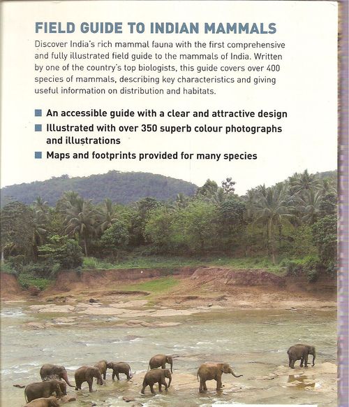Field Guide To Indian Mammals